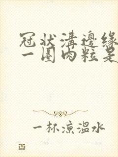 冠状沟边缘长了一圈肉粒是什么