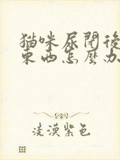 猫咪尿闭后不吃东西怎么办