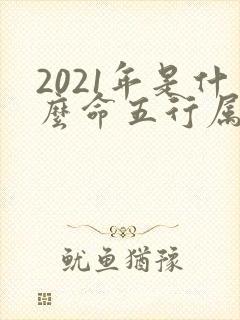 2021年是什么命五行属性