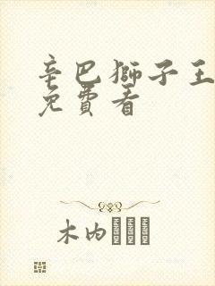 辛巴狮子王动漫免费看