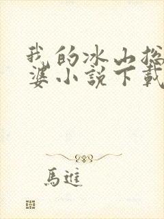 我的冰山总裁老婆小说下载