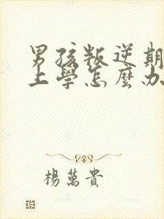 男孩叛逆期不想上学怎么办