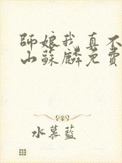 师娘我真不想下山苏麟免费下载小说封面