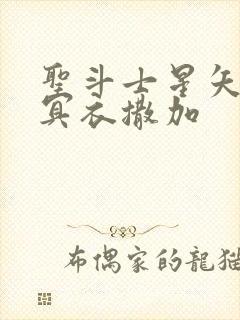 圣斗士星矢重生冥衣撒加