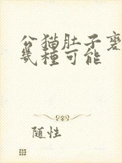 公猫肚子变大有几种可能