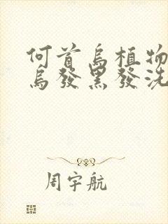 何首乌植物草本乌发黑发洗发水