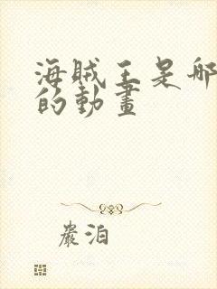 海贼王是哪年出的动画