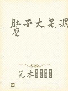 肚子大是湿气重么封面