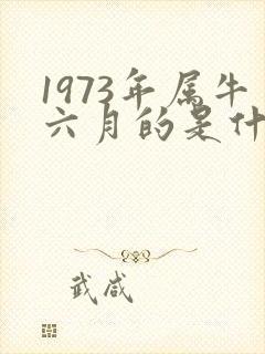 1973年属牛六月的是什么命