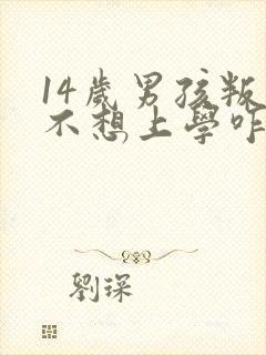 14岁男孩叛逆不想上学咋办