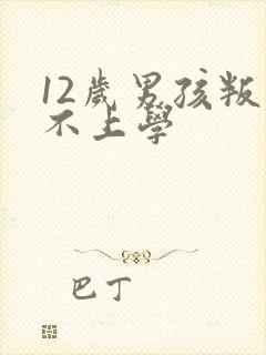 12岁男孩叛逆不上学