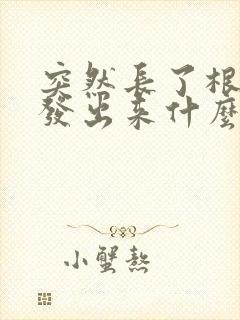 突然长了根白头发出来什么原因