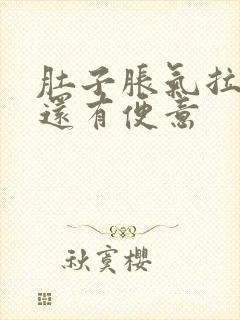 肚子胀气拉完屎还有便意