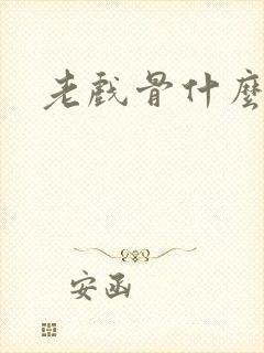 老戏骨什么意思