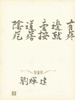 阴道旁边有个小疙瘩按就疼封面