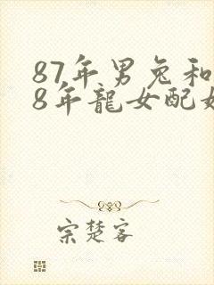 87年男兔和88年龙女配婚姻好不好