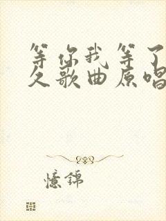 等你我等了那么久歌曲原唱视频封面