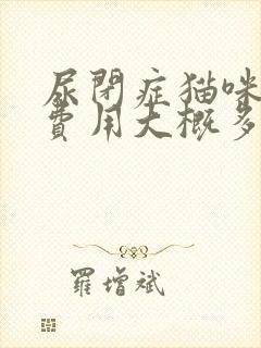 尿闭症猫咪治疗费用大概多少封面