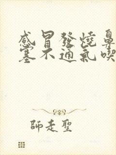 感冒发烧鼻子堵塞不通气吃什么药