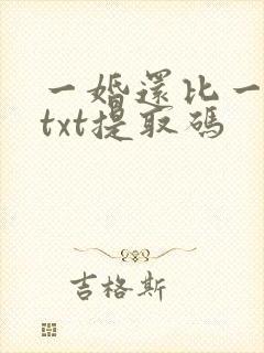 一婚还比一婚高txt提取码