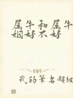 属牛和属牛的婚姻好不好