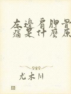 左边肩胛骨下面痛是什么原因