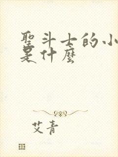 圣斗士的小宇宙是什么