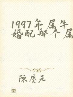 1997年属牛婚配哪个属相最好