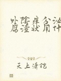 外阴痒分泌物豆腐渣状用什么药