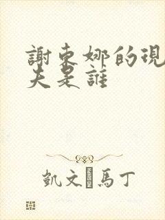 谢东娜的现任丈夫是谁封面