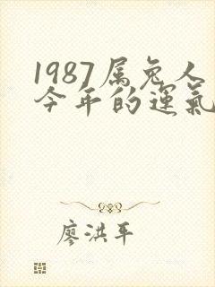 1987属兔人今年的运气和财运