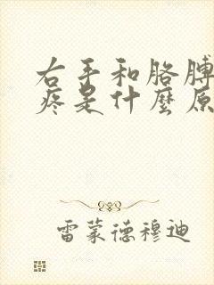 右手和胳膊发麻疼是什么原因引起的封面