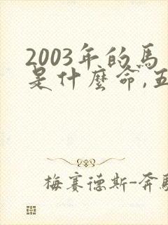 2003年的马是什么命,五行属性