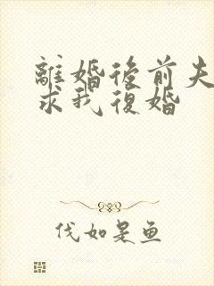 离婚后前夫哭着求我复婚