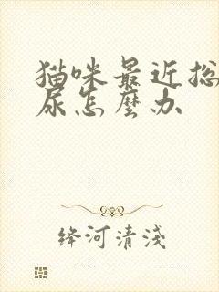 猫咪最近总是乱尿怎么办