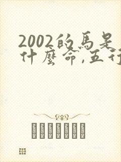 2002的马是什么命,五行属性