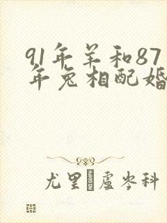 91年羊和87年兔相配婚姻如何