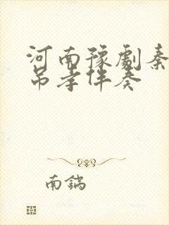 河南豫剧秦雪梅吊孝伴奏