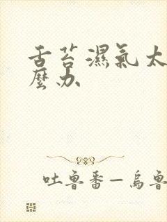 舌苔湿气太重怎么办