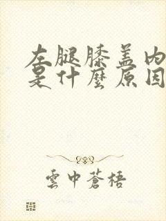 左腿膝盖内侧疼是什么原因引起的