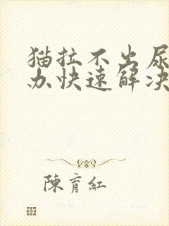 猫拉不出尿怎么办快速解决