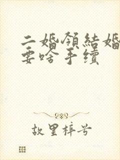 二婚领结婚证需要啥手续