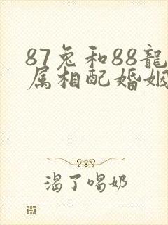 87兔和88龙属相配婚姻如何