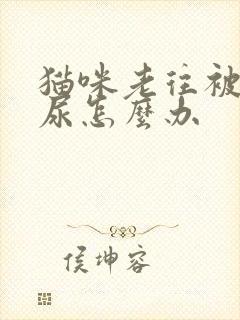 猫咪老往被子上尿怎么办