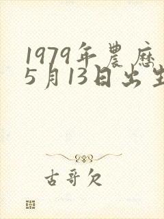 1979年农历5月13日出生的命运