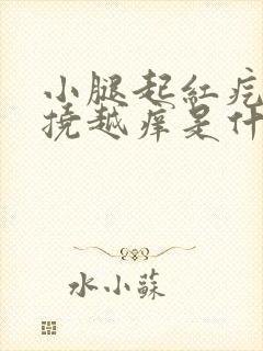 小腿起红疙瘩越挠越痒是什么病