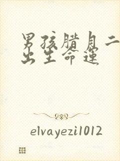 男孩腊月二十八出生命运