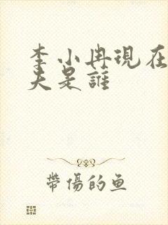 李小冉现在的丈夫是谁