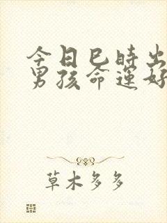 今日巳时出生的男孩命运好不好?