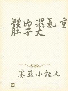 体内湿气重导致肚子大封面